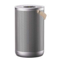 Очиститель воздуха Smartmi Air Purifier P2 (серебристый)